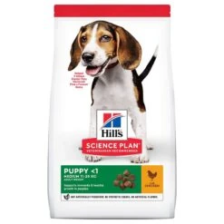 Hill's Science Plan Hill’s Science Plan Puppy <1 Medium With Chicken 18kg -Hill's Science Plan Store 105942 pla hill s sp puppy huhn 14 kg 8 4