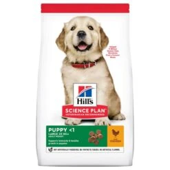 Hill's Science Plan Hill’s Science Plan Puppy <1 Large Breed With Chicken 2.5kg -Hill's Science Plan Store 106011 pla hill s scienceplan puppy large chicken 14 5kg hs 01 6 2