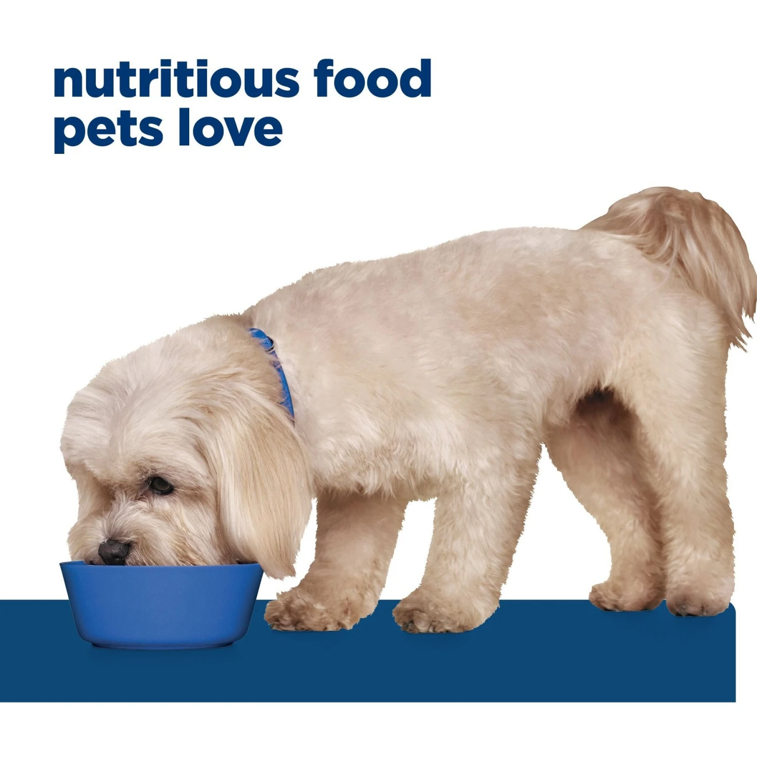 Hill's Prescription Diet Z/d Skin/Food Sensitivities Small Bites Original Flavor Dry Dog Food 9 Hill's Prescription Diet Z/d Skin/Food Sensitivities Small Bites Original Flavor Dry Dog Food - Image 7