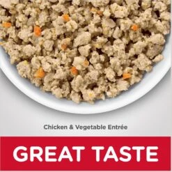 Hill's Science Diet Adult Sensitive Stomach & Skin Chicken & Vegetable Entrée Canned Cat Food -Hill's Science Plan Store 109206 PT2. AC SS1800 V1609381365