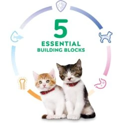Hill's Science Diet Kitten Liver & Chicken Entree Canned Cat Food 15 Hill's Science Diet Kitten Liver & Chicken Entree Canned Cat Food -Hill's Science Plan Store 110297 PT4. AC SS1800 V1690565351