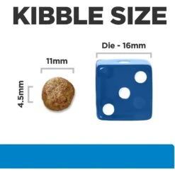 Hill's Prescription Diet D/d Skin/Food Sensitivities Potato & Salmon Recipe Dry Dog Food -Hill's Science Plan Store 113450 PT2. AC SS1800 V1646169387