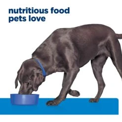 Hill's Prescription Diet D/d Skin/Food Sensitivities Potato & Venison Dry Dog Food -Hill's Science Plan Store 113451 PT6. AC SS1800 V1668616134