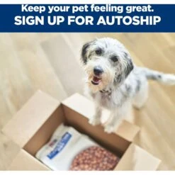 Hill's Prescription Diet D/d Skin/Food Sensitivities Potato & Venison Dry Dog Food -Hill's Science Plan Store 113451 PT8. AC SS1800 V1668616083