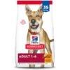 Hill's Science Diet Adult Chicken & Barley Recipe Dry Dog Food -Hill's Science Plan Store 114164 MAIN. AC SS1800 V1658461723
