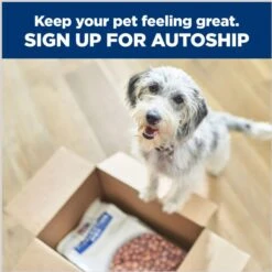 Hill's Prescription Diet K/d Kidney Care + Mobility Care With Chicken & Vegetable Stew Canned Dog Food -Hill's Science Plan Store 122115 PT8. AC SS1800 V1688761273