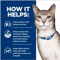 Hill's Prescription Diet K/d Kidney Care + Mobility Care With Chicken & Vegetable Stew Canned Cat Food 16 Hill's Prescription Diet K/d Kidney Care + Mobility Care With Chicken & Vegetable Stew Canned Cat Food -Hill's Science Plan Store 122117 PT5. AC SS1800 V1688759905