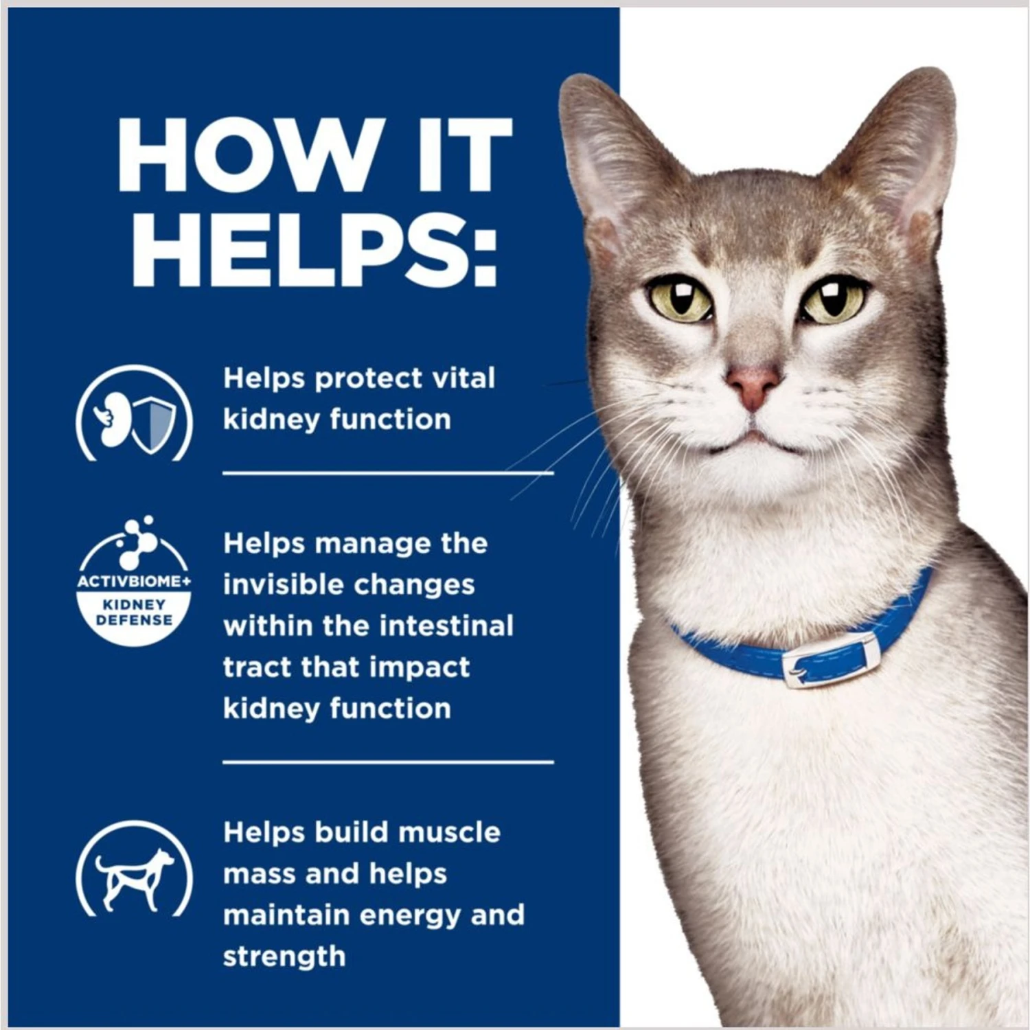 Hill's Prescription Diet K/d Kidney Care + Mobility Care With Chicken & Vegetable Stew Canned Cat Food 8 Hill's Prescription Diet K/d Kidney Care + Mobility Care With Chicken & Vegetable Stew Canned Cat Food - Image 6