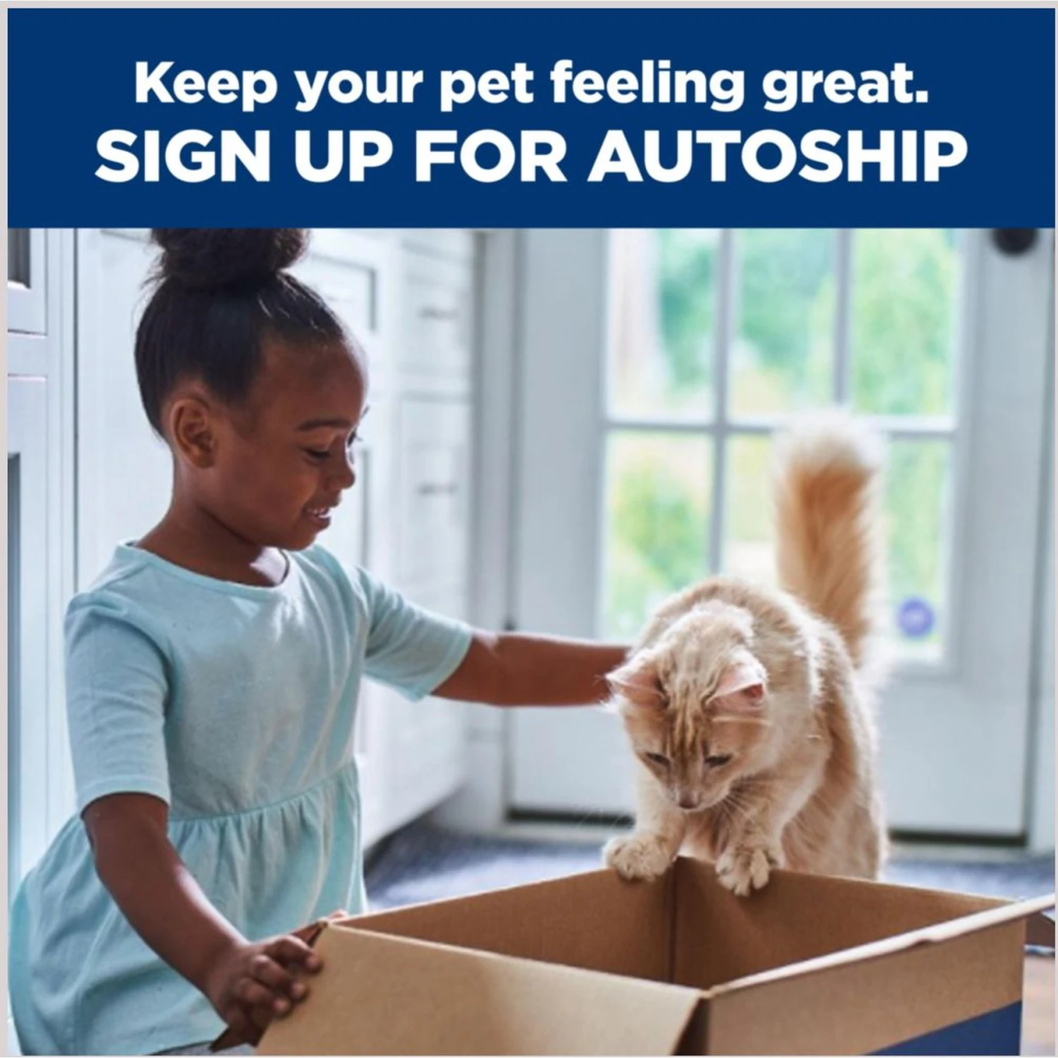 Hill's Prescription Diet K/d Kidney Care + Mobility Care With Chicken & Vegetable Stew Canned Cat Food 11 Hill's Prescription Diet K/d Kidney Care + Mobility Care With Chicken & Vegetable Stew Canned Cat Food - Image 9