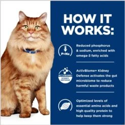 Hill's Prescription Diet K/d Kidney Care + Mobility Care With Chicken Dry Cat Food -Hill's Science Plan Store 122119 PT6. AC SS1800 V1691775810