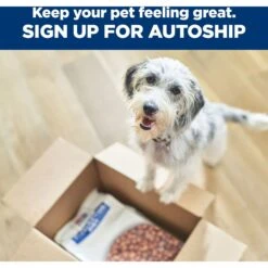 Hill's Prescription Diet Metabolic Crunchy Dog Treats 18 Hill's Prescription Diet Metabolic Crunchy Dog Treats -Hill's Science Plan Store 127910 PT7. AC SS1800 V1669942027