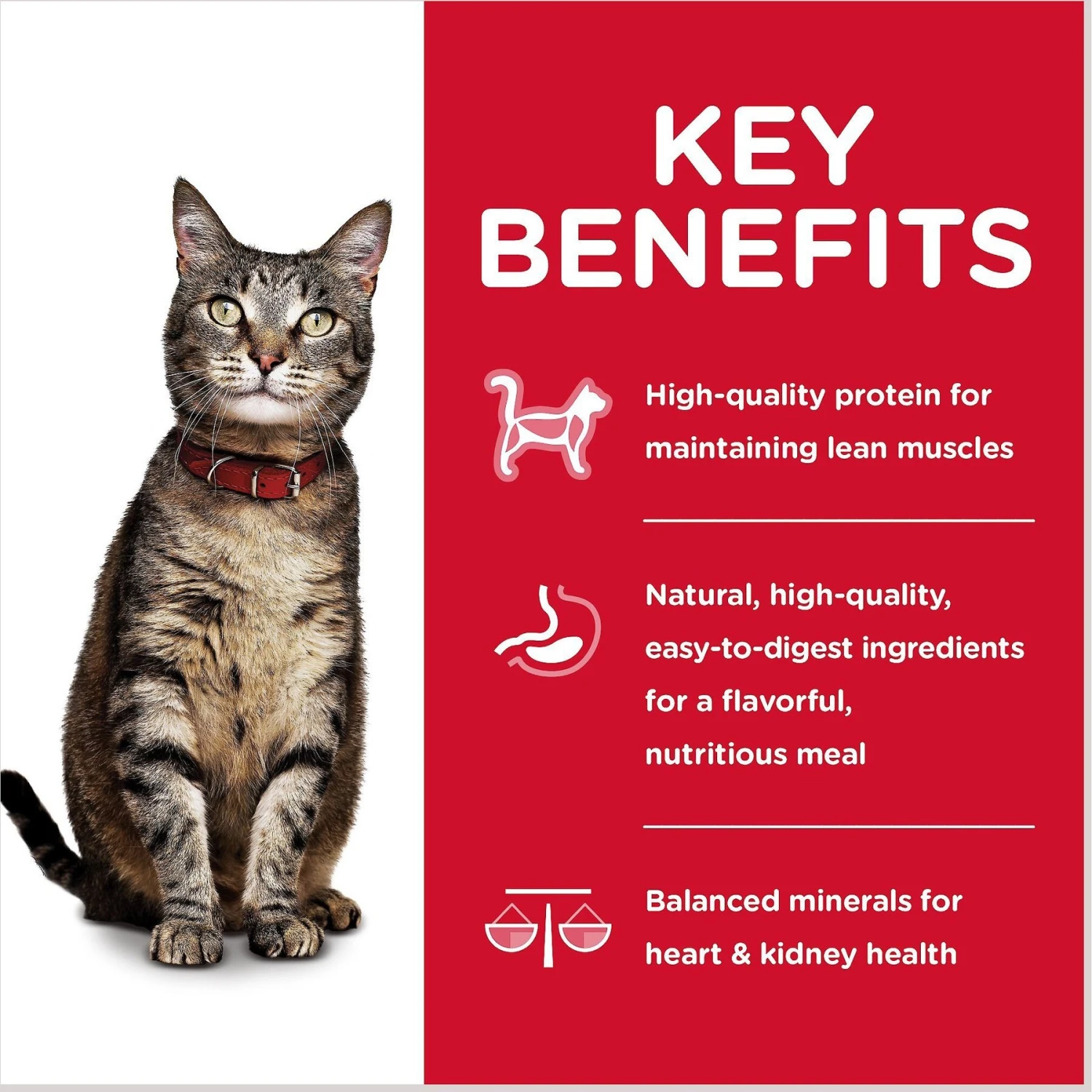 Hill's Science Diet Adult Tender Dinner Variety Pack Canned Cat Food 7 Hill's Science Diet Adult Tender Dinner Variety Pack Canned Cat Food - Image 5