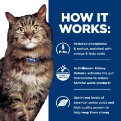 Hill's Prescription Diet K/d Kidney Care Early Support With Chicken Dry Cat Food -Hill's Science Plan Store 148479 PT4. AC SS1800 V1691772506