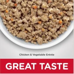 Hill's Science Diet Adult Sensitive Stomach & Skin Chicken & Vegetable Entrée Canned Dog Food -Hill's Science Plan Store 157791 PT2. AC SS1800 V1609375953