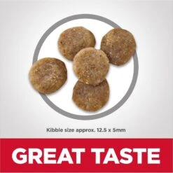 Hill's Science Diet Adult Sensitive Stomach & Skin Grain-Free Salmon & Yellow Pea Recipe Dry Cat Food 13 Hill's Science Diet Adult Sensitive Stomach & Skin Grain-Free Salmon & Yellow Pea Recipe Dry Cat Food -Hill's Science Plan Store 157794 PT2. AC SS1800 V1617658363