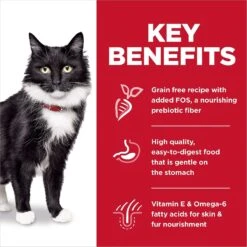 Hill's Science Diet Adult Sensitive Stomach & Skin Grain-Free Salmon & Yellow Pea Recipe Dry Cat Food 15 Hill's Science Diet Adult Sensitive Stomach & Skin Grain-Free Salmon & Yellow Pea Recipe Dry Cat Food -Hill's Science Plan Store 157794 PT4. AC SS1800 V1617659812