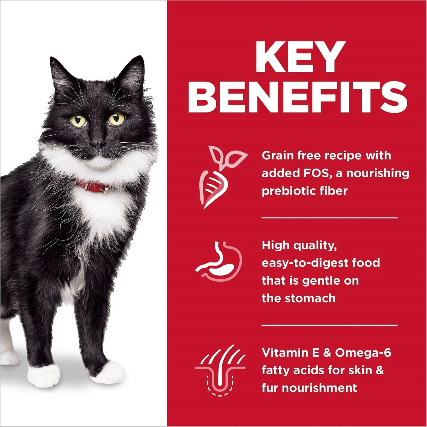 Hill's Science Diet Adult Sensitive Stomach & Skin Grain-Free Salmon & Yellow Pea Recipe Dry Cat Food 7 Hill's Science Diet Adult Sensitive Stomach & Skin Grain-Free Salmon & Yellow Pea Recipe Dry Cat Food - Image 5