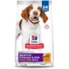 Hill's Science Diet Adult Sensitive Stomach & Sensitive Skin Grain-Free Chicken & Potato Recipe Dry Dog Food -Hill's Science Plan Store 157795 MAIN. AC SS1800 V1660574120