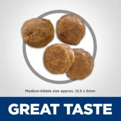 Hill's Science Diet Adult Sensitive Stomach & Sensitive Skin Grain-Free Chicken & Potato Recipe Dry Dog Food -Hill's Science Plan Store 157795 PT2. AC SS1800 V1607994747