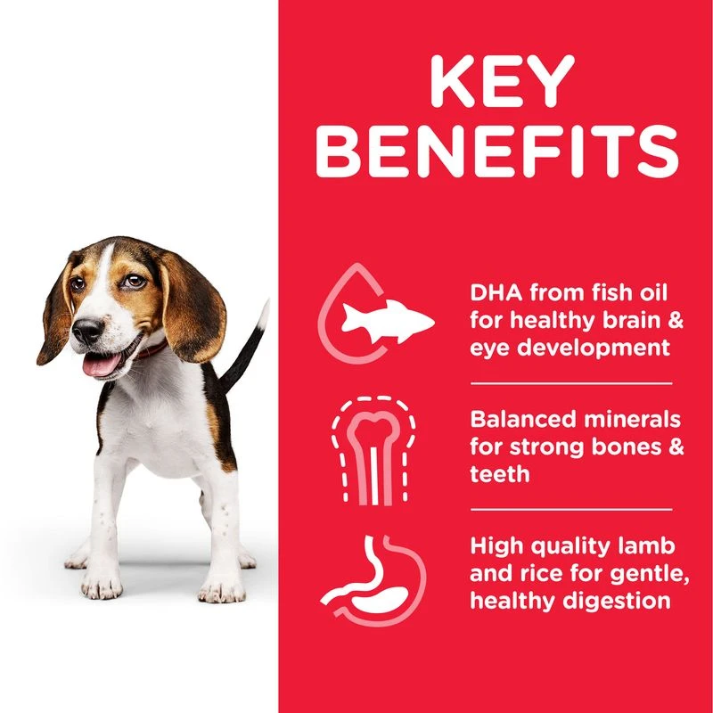 Hill's Science Plan Puppy <1 Medium With Lamb & Rice 14kg + 4kg Free! 5 Hill's Science Plan Puppy <1 Medium With Lamb & Rice 14kg + 4kg Free! - Image 3