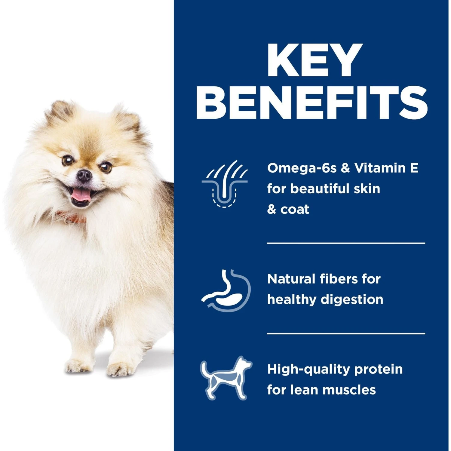 Hill's Science Diet Adult 1-6 Chicken & Brown Rice Recipe Small Bites Dry Dog Food 7 Hill's Science Diet Adult 1-6 Chicken & Brown Rice Recipe Small Bites Dry Dog Food - Image 5