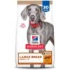 Hill's Science Diet Adult 1-5 Large Breed Chicken & Brown Rice Recipe Dry Dog Food -Hill's Science Plan Store 215352 MAIN. AC SS1800 V1689954463