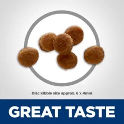 Hill's Science Diet Kitten Chicken & Brown Rice Recipe Dry Cat Food -Hill's Science Plan Store 215365 PT2. AC SS1800 V1614206182