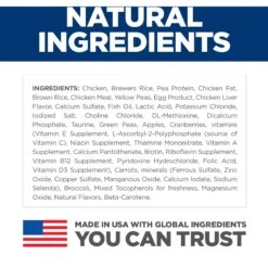 Hill's Science Diet Kitten Chicken & Brown Rice Recipe Dry Cat Food -Hill's Science Plan Store 215365 PT5. AC SS1800 V1614208308