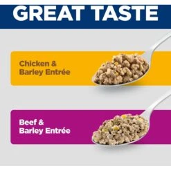 Hill's Science Diet Variety Pack Adult Canned Dog Food, 13-oz, Case Of 12 -Hill's Science Plan Store 217364 PT2. AC SS1800 V1580221203