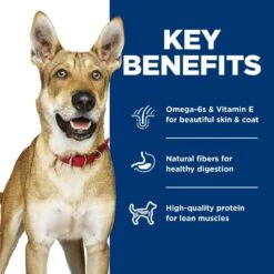 Hill's Science Diet Variety Pack Adult Canned Dog Food, 13-oz, Case Of 12 -Hill's Science Plan Store 217364 PT5. AC SS1800 V1598154991