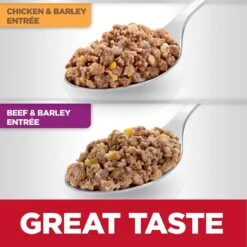 Hill's Science Diet Variety Pack Senior 7+ Canned Dog Food, 13-oz, Case Of 12 14 Hill's Science Diet Variety Pack Senior 7+ Canned Dog Food, 13-oz, Case Of 12 -Hill's Science Plan Store 217366 PT3. AC SS1800 V1580221379