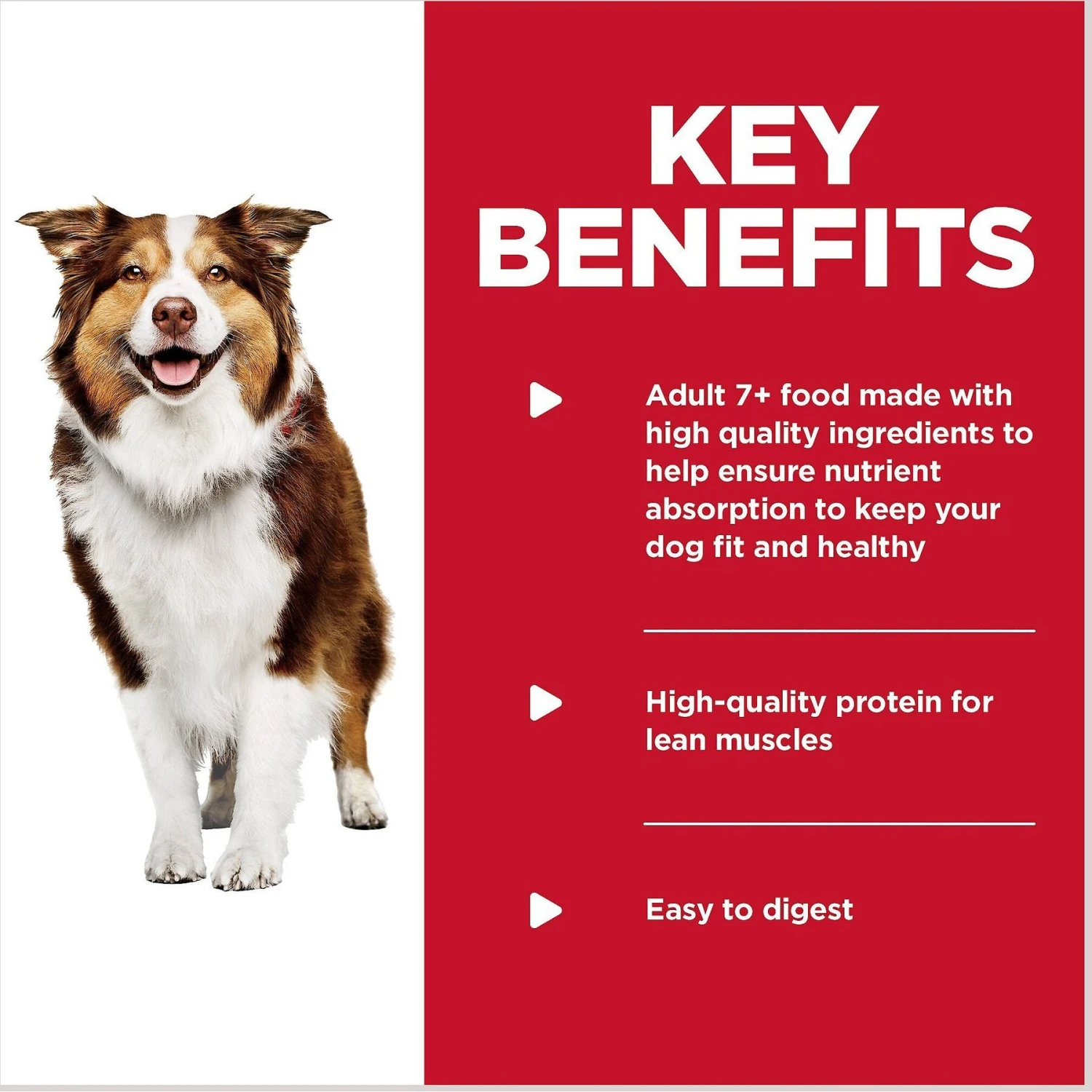 Hill's Science Diet Variety Pack Senior 7+ Canned Dog Food, 13-oz, Case Of 12 7 Hill's Science Diet Variety Pack Senior 7+ Canned Dog Food, 13-oz, Case Of 12 - Image 5