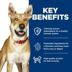 Hill's Science Diet Healthy Cuisine Variety Pack Adult Canned Dog Food, 13-oz, Case Of 12 -Hill's Science Plan Store 217368 PT5. AC SS1800 V1598145370