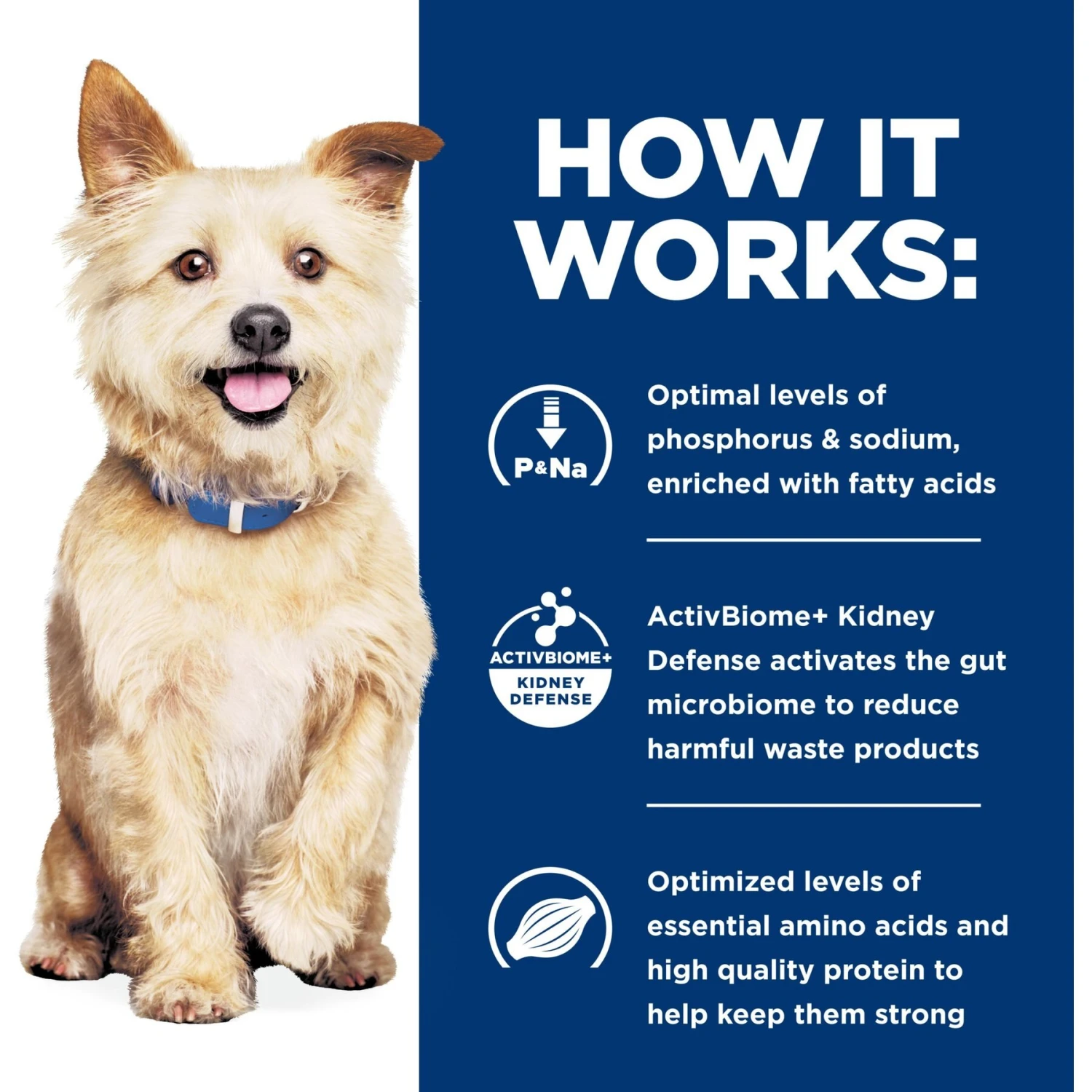 Hill's Prescription Diet K/d Kidney Care Variety Pack Wet & Dry Dog Food 7 Hill's Prescription Diet K/d Kidney Care Variety Pack Wet & Dry Dog Food - Image 5