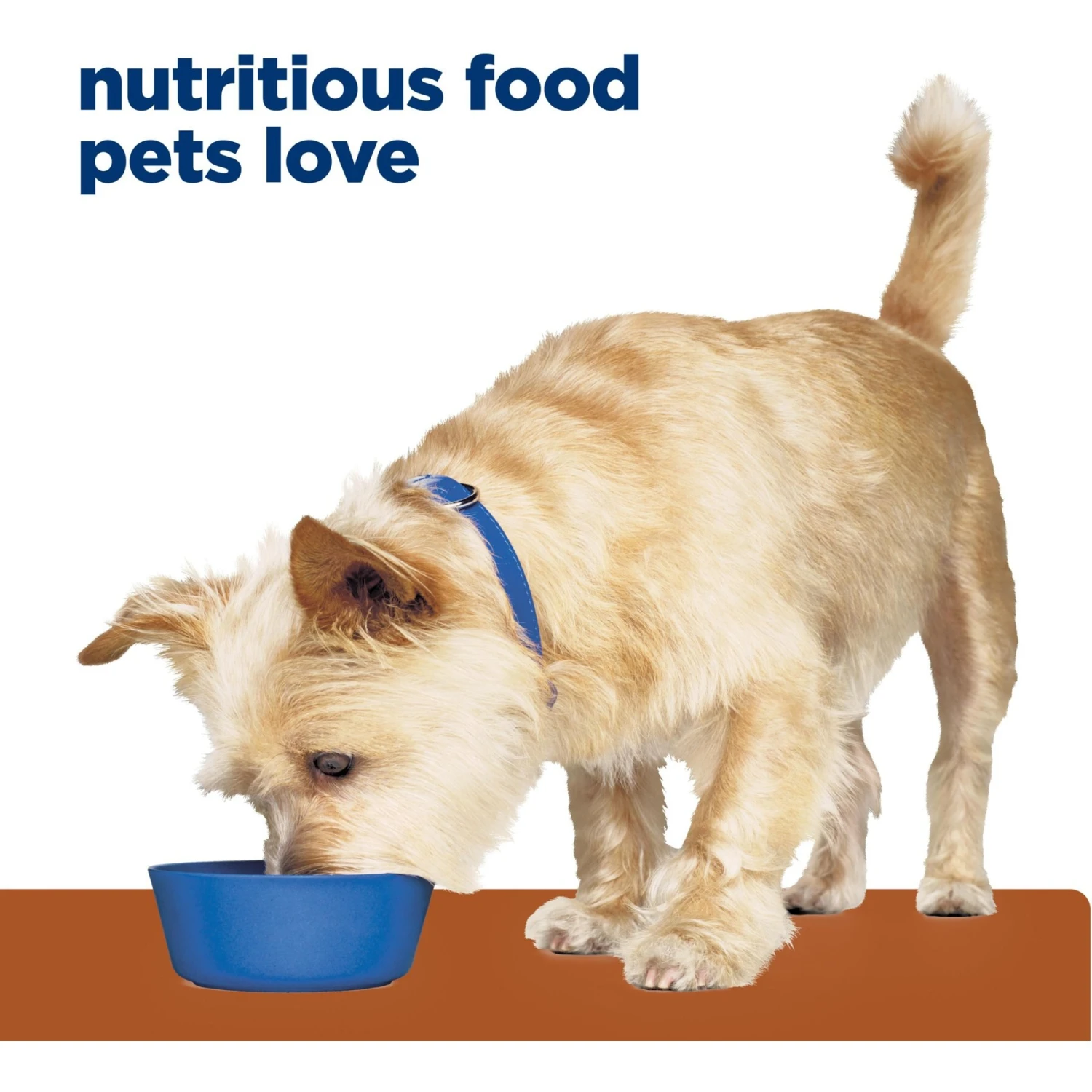 Hill's Prescription Diet K/d Kidney Care Variety Pack Wet & Dry Dog Food 8 Hill's Prescription Diet K/d Kidney Care Variety Pack Wet & Dry Dog Food - Image 6