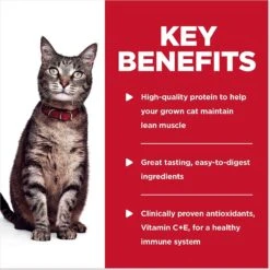 Hill's Science Diet Adult Tender Ocean Fish Recipe Cat Food, 2.8-oz Pouch, Case Of 24 -Hill's Science Plan Store 218065 PT4. AC SS1800 V1598155581