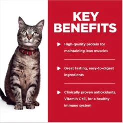 Hill's Science Diet Adult Chicken & Spinach Casserole Recipe Cat Food, 2.8-oz Pouch, Case Of 24 -Hill's Science Plan Store 218067 PT4. AC SS1800 V1598153187