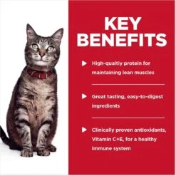 Hill's Science Diet Adult Turkey & Liver Casserole Recipe Cat Food, 2.8-oz Pouch, Case Of 24 -Hill's Science Plan Store 218069 PT4. AC SS1800 V1598144505