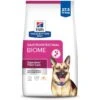 Hill's Prescription Diet Gastrointestinal Biome Chicken Flavor Dry Dog Food -Hill's Science Plan Store 250641 MAIN. AC SS1800 V1647294132