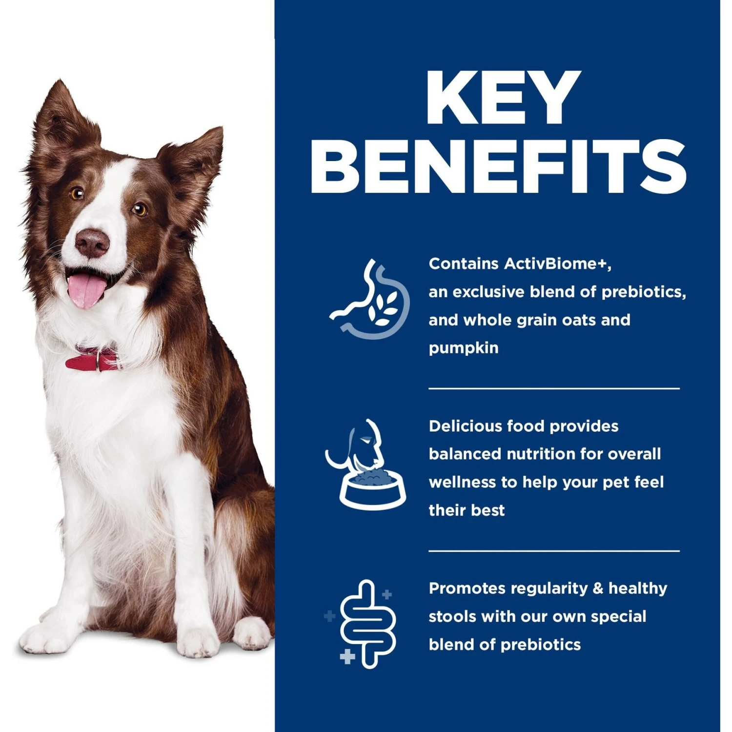 Hill's Science Diet Adult Perfect Digestion Chicken, Brown Rice, & Whole Oats Recipe Dry Dog Food 8 Hill's Science Diet Adult Perfect Digestion Chicken, Brown Rice, & Whole Oats Recipe Dry Dog Food - Image 6