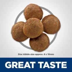 Hill's Science Diet Adult Perfect Digestion Large Breed Chicken Dry Dog Food -Hill's Science Plan Store 266832 PT3. AC SS1800 V1614205600