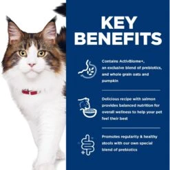Hill's Science Diet Adult Perfect Digestion Salmon Dry Cat Food 16 Hill's Science Diet Adult Perfect Digestion Salmon Dry Cat Food -Hill's Science Plan Store 266842 PT5. AC SS1800 V1614207690