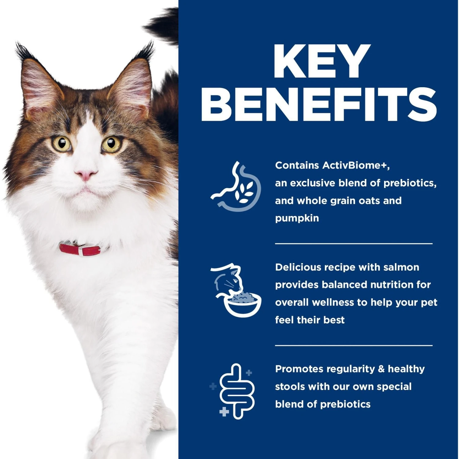 Hill's Science Diet Adult Perfect Digestion Salmon Dry Cat Food 8 Hill's Science Diet Adult Perfect Digestion Salmon Dry Cat Food - Image 6