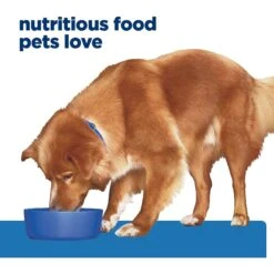 Hill's Prescription Diet Derm Complete Original Flavor Wet Dog Food 13 Hill's Prescription Diet Derm Complete Original Flavor Wet Dog Food -Hill's Science Plan Store 269080 PT2. AC SS1800 V1651242411