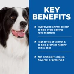 Hill's Prescription Diet Z/d Skin/Food Sensitivities Original Flavor Dry Dog Food & Hill's Prescription Diet Z/d Original Skin/Food Sensitivities Canned Dog Food -Hill's Science Plan Store 293152 PT6. AC SS1800 V1657656662