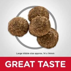 Hill's Science Diet Adult Large Breed Lamb Meal & Brown Rice Dry Dog Food & Hill's Natural Soft Savories With Peanut Butter & Banana Dog Treats -Hill's Science Plan Store 293172 PT3. AC SS1800 V1619977920