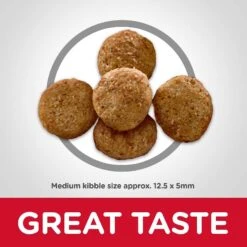Hill's Science Diet Adult Light With Chicken Meal & Barley Dry Dog Food & Hill's Natural Baked Light Biscuits With Real Chicken Dog Treats, Medium 12 Hill's Science Diet Adult Light With Chicken Meal & Barley Dry Dog Food & Hill's Natural Baked Light Biscuits With Real Chicken Dog Treats, Medium -Hill's Science Plan Store 293182 PT3. AC SS1800 V1620003420
