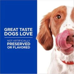 Hill's Science Diet Adult Sensitive Stomach & Sensitive Skin Chicken Recipe Dry Dog Food & Hill's Natural Soft Savories With Peanut Butter & Banana Dog Treats 16 Hill's Science Diet Adult Sensitive Stomach & Sensitive Skin Chicken Recipe Dry Dog Food & Hill's Natural Soft Savories With Peanut Butter & Banana Dog Treats -Hill's Science Plan Store 293202 PT6. AC SS1800 V1639092134