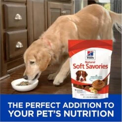 Hill's Science Diet Adult Sensitive Stomach & Skin Small & Mini Breed Chicken Recipe Dry Dog Food & Hill's Natural Soft Savories With Peanut Butter & Banana Dog Treats 15 Hill's Science Diet Adult Sensitive Stomach & Skin Small & Mini Breed Chicken Recipe Dry Dog Food & Hill's Natural Soft Savories With Peanut Butter & Banana Dog Treats -Hill's Science Plan Store 293212 PT6. AC SS1800 V1619989940