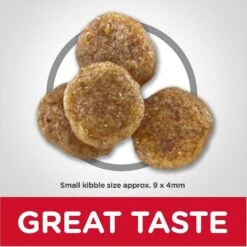 Hill's Science Diet Adult 7+ Small Bites Chicken Meal, Barley & Rice Recipe Dry Dog Food & Hill's Science Diet Adult 7+ Chicken & Barley Entree Canned Dog Food 12 Hill's Science Diet Adult 7+ Small Bites Chicken Meal, Barley & Rice Recipe Dry Dog Food & Hill's Science Diet Adult 7+ Chicken & Barley Entree Canned Dog Food -Hill's Science Plan Store 298084 PT3. AC SS1800 V1621298551